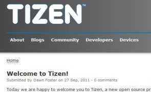 tizen_webpage.jpg 