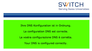 dns-check_ch_switch.png 