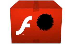 flash-logo_mit_loch.jpg 