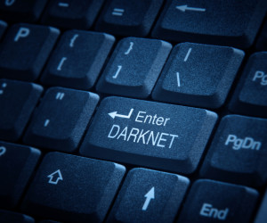 EU-Projekt Titanium geht gegen das Darknet vor