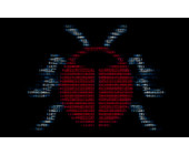 Software-Bug