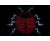 Software-Bug