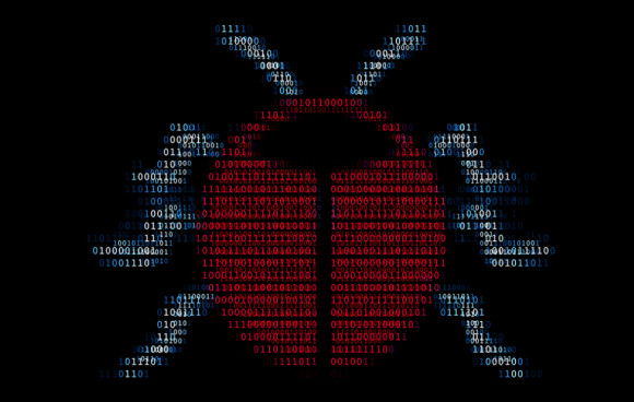 Software-Bug 