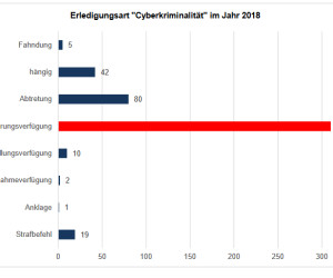 Offensiver gegen Cyberkriminalität