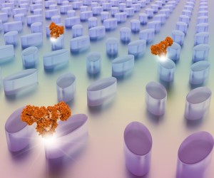 Optischer Chip erkennt Krankheiten
