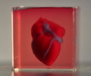 Mini-Herz aus dem 3D-Drucker