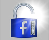 Schloß mit Facebook Logo