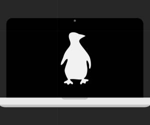 Linux lässt Windows 10 alt aussehen