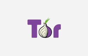 Tor-Logo mit Zwiebel 