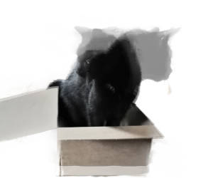 Schrödingers Katze mit 20 Qubits