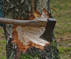 Mitel Schweiz baut erneut Stellen ab