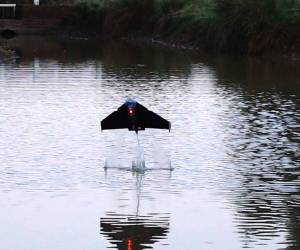 Forscher entwickeln Flugfisch-Roboter