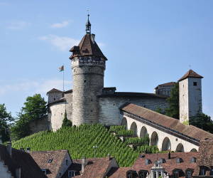Betreibungsregisterauszug in Schaffhausen via Smartphone