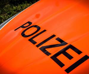 Nationale Polizeidatenbank gefordert