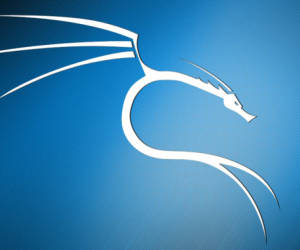 Kali Linux 2019.4 tarnt sich als Windows 10