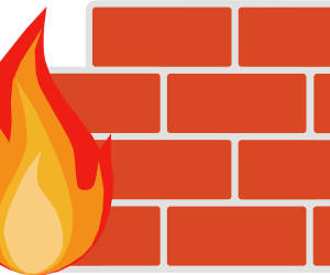 Sicherheitsprozessor beschleunigt Firewall