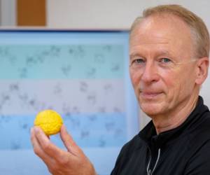 Neuer Ansatz für eine biologische Programmiersprache
