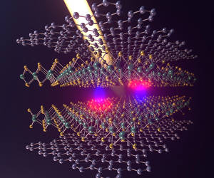 Stark lichtabsorbierendes und regelbares Material entwickelt
