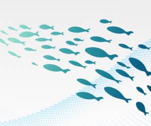 MariaDB X5: Mit verteiltem SQL