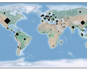 Botnet Fritzfrog greift SSH-Server an