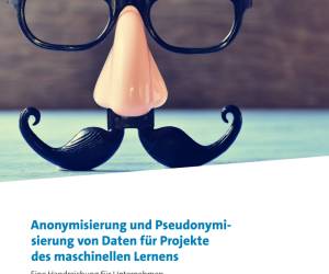Wie man KI trainiert, ohne den Datenschutz zu verletzen