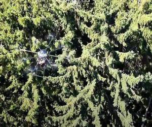 Drohne findet verunglückte Personen auch im dichten Wald