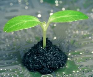 Energieeffizientere Digitalisierung
