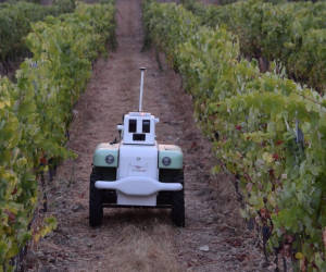 Weinberg-Roboter «VineScout» steigert Ertrag