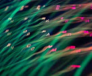 Erste Schritte auf dem Weg zum Quanten-Machine-Learning