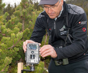 Künstliche Intelligenz im Schweizerischen Nationalpark