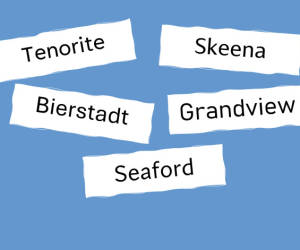 Voilà, die neue(n) Microsoft-Standardschrift(en)