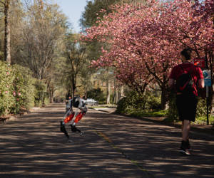 KI-Roboter «Cassie» läuft fünf Kilometer