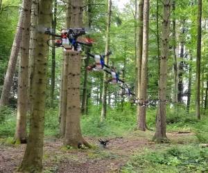 KI ermöglicht Drohnen den Flug ins Unbekannte