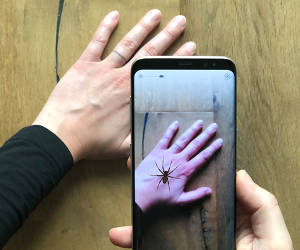 Mit Augmented Reality Spinnenangst bekämpfen