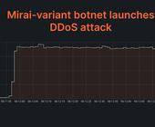 Grafik zeigt DDoS-Angriffswelle