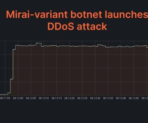 DDoS-Angriffe ohne Ende