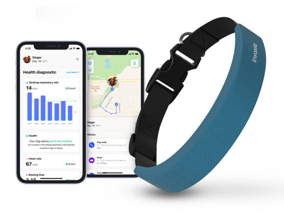 Hundehalsband und Smartphone mit der zugehörigen App