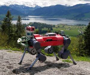 Wie Roboter wandern lernen
