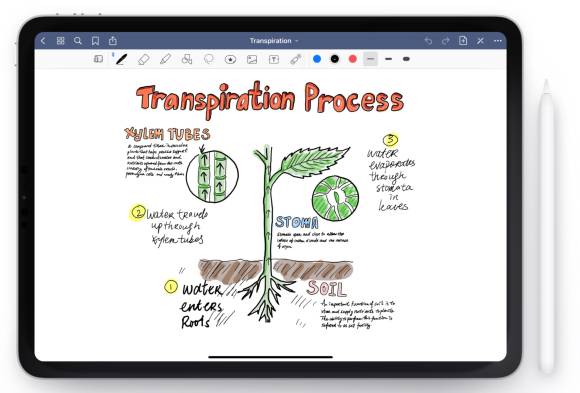 Auf dem iPad ist die App GoodNotes zu sehen, die den gezeichneten Aufbau einer Pflanze zeigt; rechts vom Gerät liegt der Apple Pencil 1