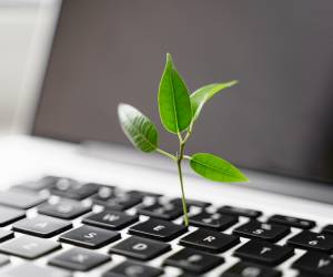 Mit Green Coding gegen den Klimawandel