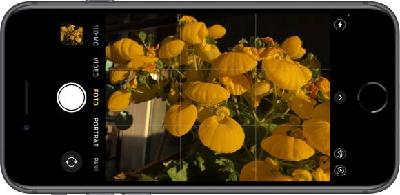 Die Kamera, die wir kennen und schätzen Das Foto zeigt ein iPhone SE, auf dessen Display die Kamera-App zu sehen ist. Das Motiv wird aus gelben Blumen gebildet.