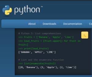 Warum jeder Entwickler Python lernen sollte