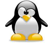 Ein Pinguin ist das Linux-Logo