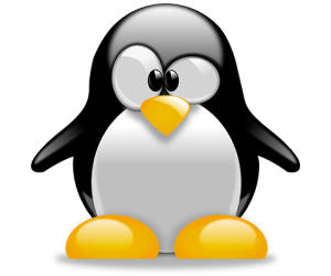Microsoft warnt vor neuer Linux-Schwachstelle