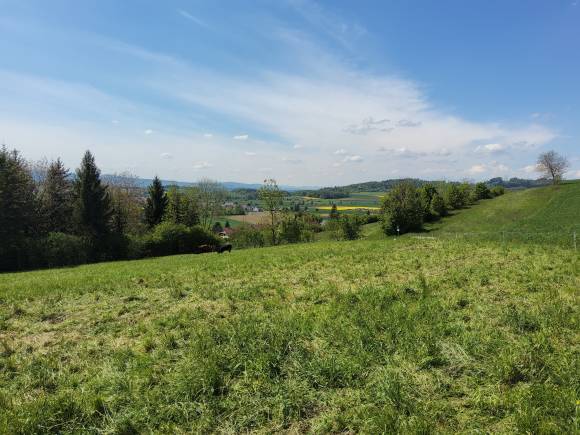 Ein mit dem S8 geknipstes Landschaftsbild