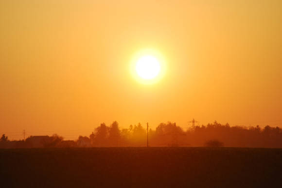 Sengende Sonne über einem Feld am Stadtrand von Zürich 