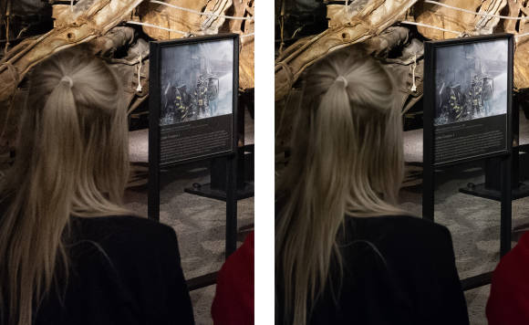 Zwei Auschnitte des Fotos zeigen die Wirkung der Rauschunterdrückung