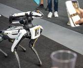 Boston Dynamics