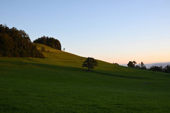 Landschaftsaufnahme Albispass im Abendlicht