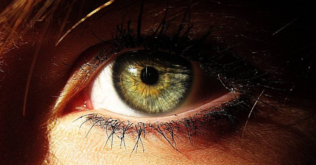 Computer-Vision-Systeme-sind-manipulierbar